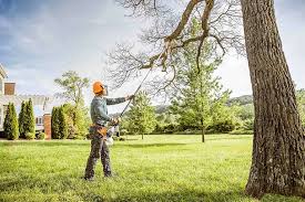 Best Lawn Watering Services  in Foster Brook, PA