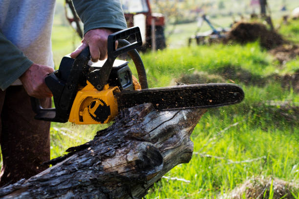 Lawn Pest Prevention in Foster Brook, PA